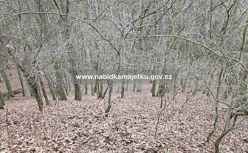 Prodej pozemku 4 390 m², Staňkovice, okres Louny