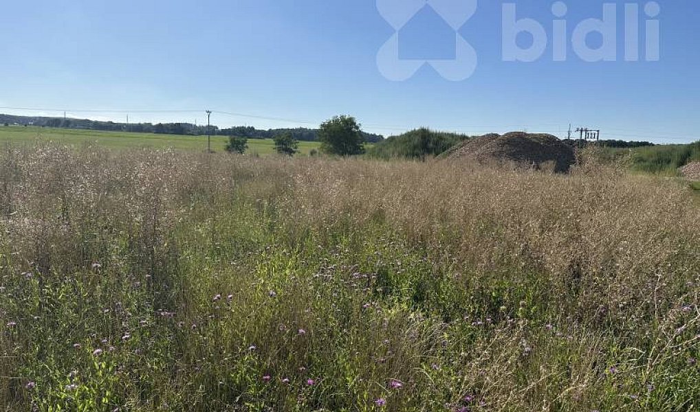 Prodej stavebního pozemku 4 903 m², Heřmanův Městec – náhled fotky 3