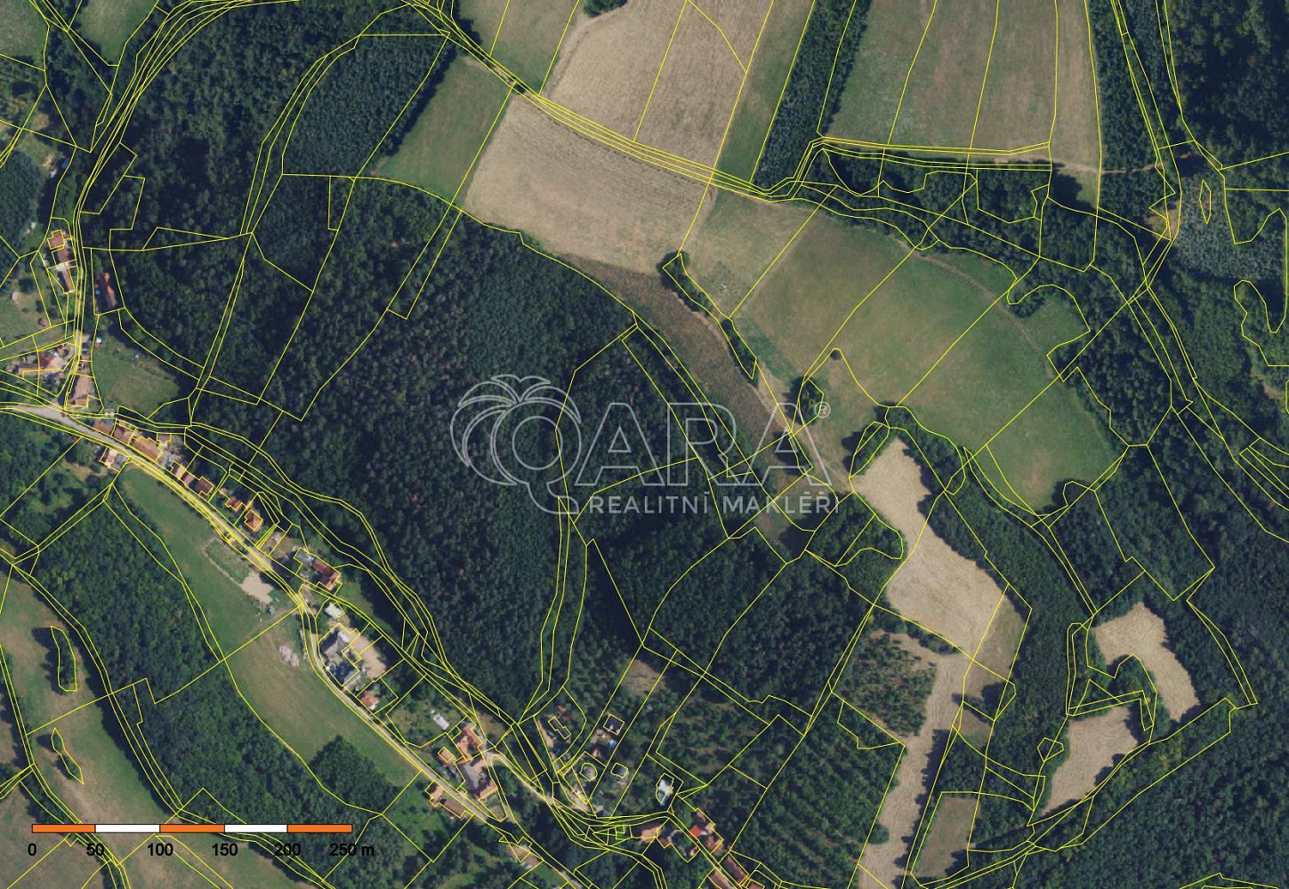 Fotka 5 z 6