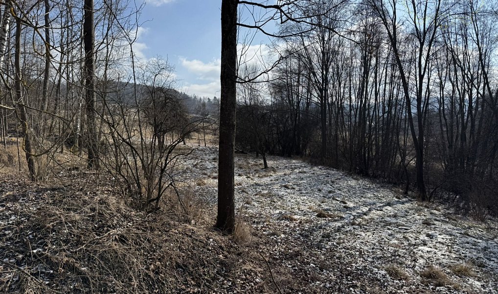 Prodej chaty/chalupy 120 m² s pozemkem 34 800 m², Zdíkov – náhled fotky 25