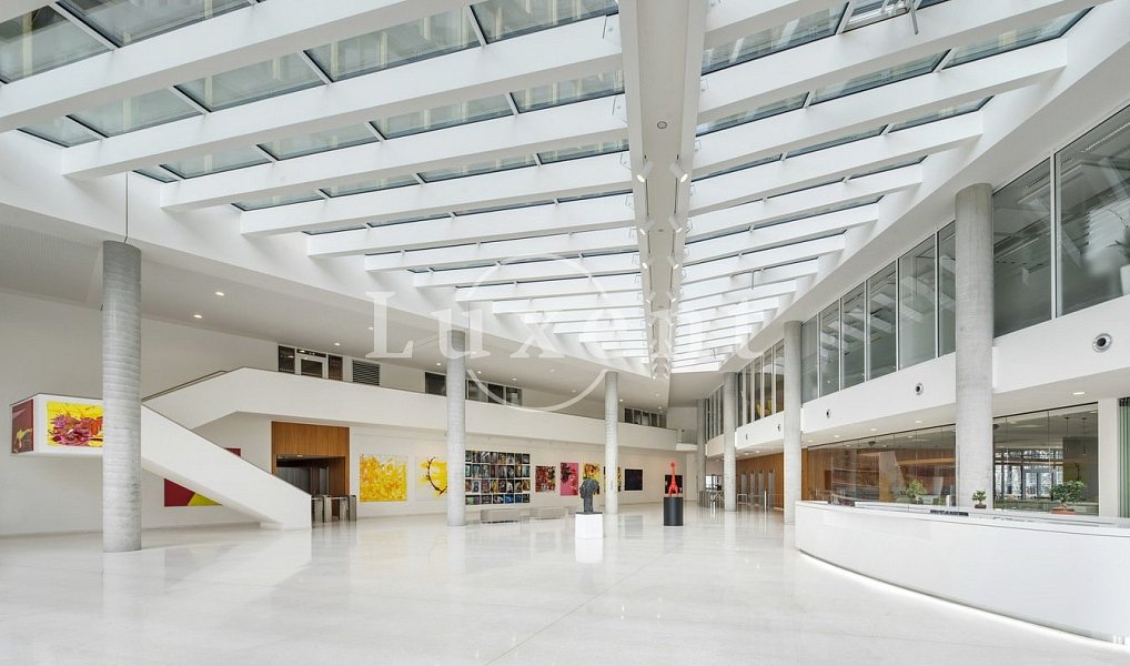 Pronájem kanceláře 500 m², Praha – náhled fotky 8