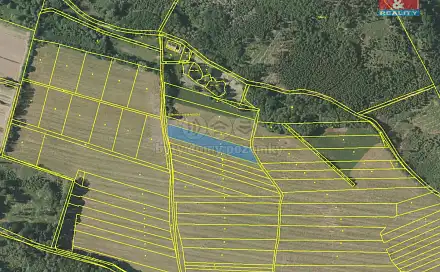 Prodej louky 3 841 m², Kdyně - Podzámčí, okres Domažlice