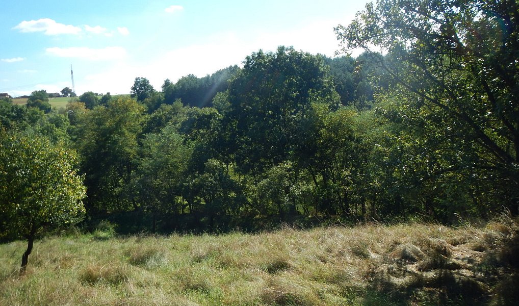 Prodej stavebního pozemku 4 736 m², Sedlčany – náhled fotky 6