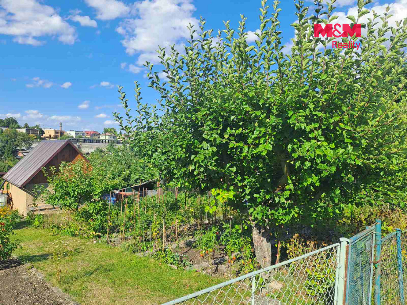 Prodej chaty/chalupy 16 m² s pozemkem 448 m² – fotografie 5