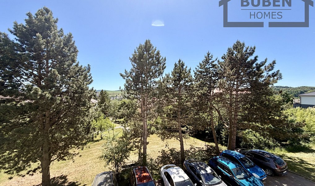 Prodej bytu 3+1 60 m², Tachov – náhled fotky 6