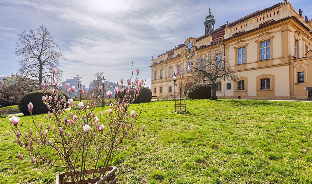 Prodej obchodních prostor 185 m², Praha – náhled fotky 15