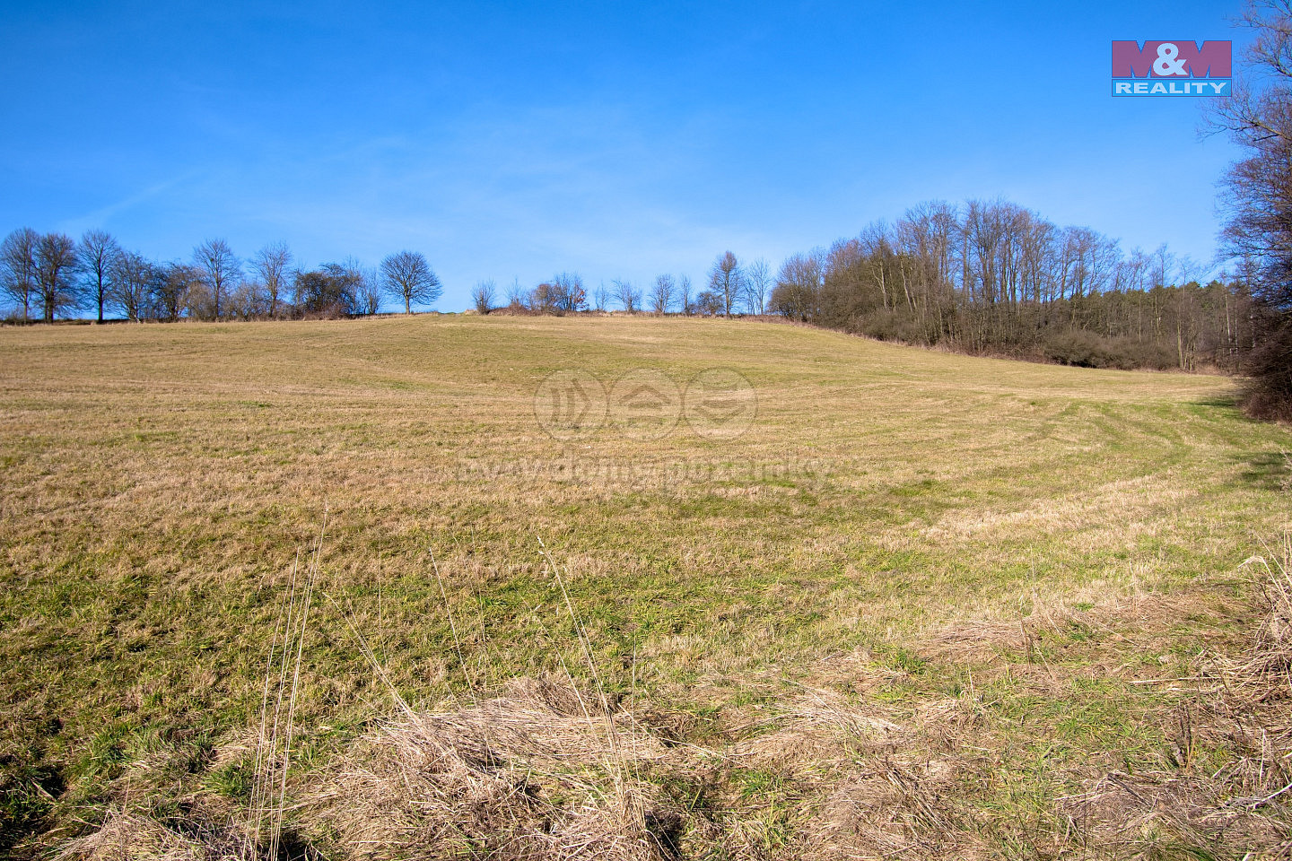 Prodej komerčního pozemku 2 979 m² — photo 2