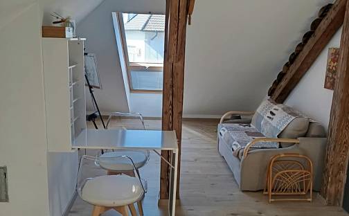 Pronájem bytu 1+kk 30 m², Horní Plesová, Hodonín