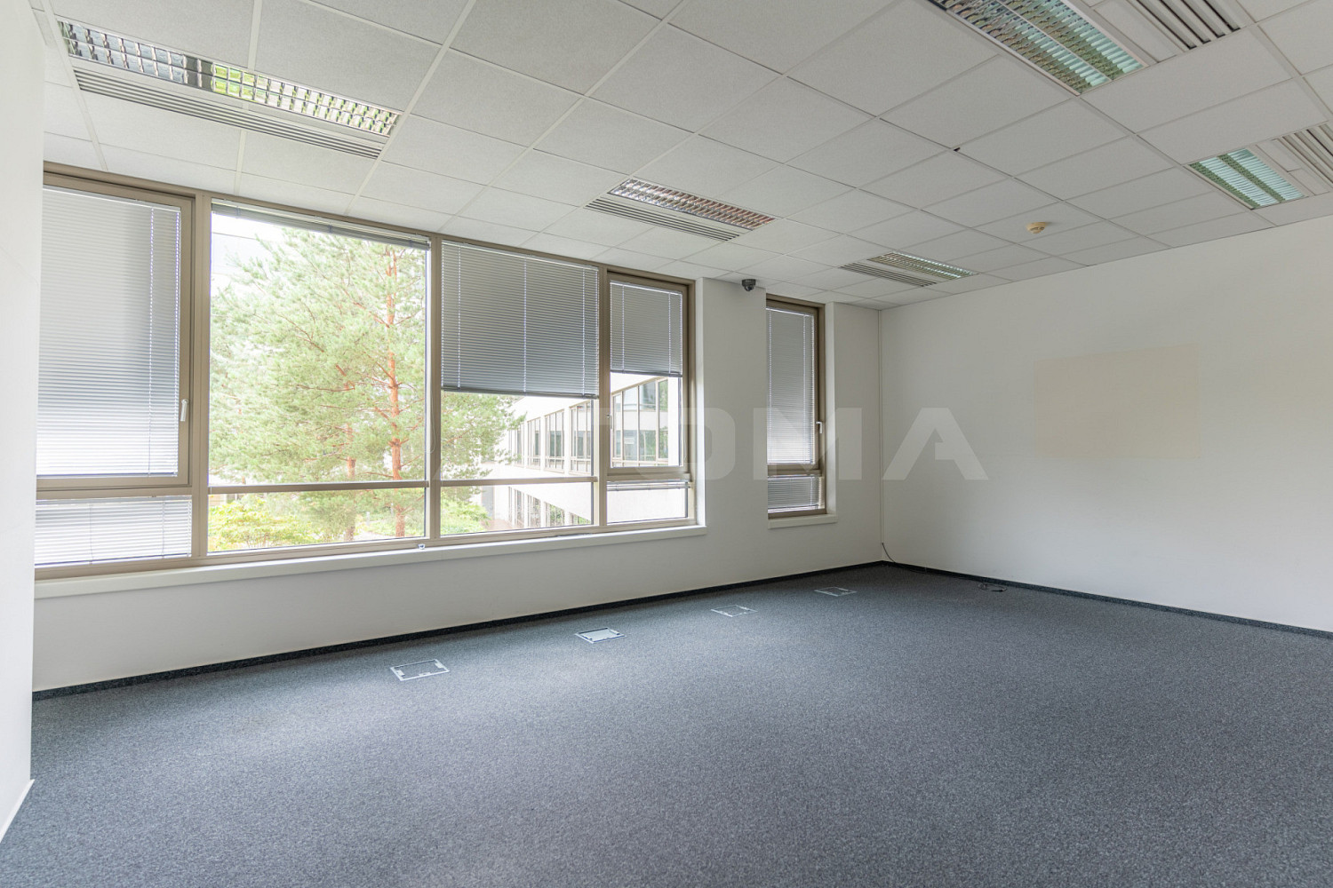 Pronájem kanceláře 233 m² – fotografie 5