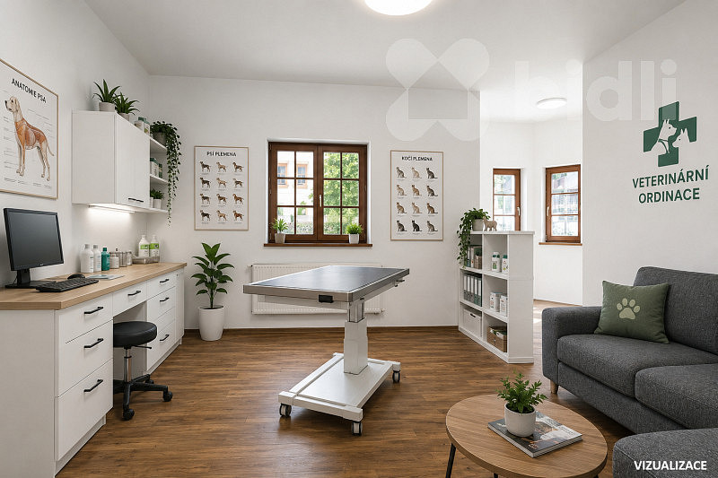Prodej komerčního objektu (jiného typu) 267 m² – fotografie 3