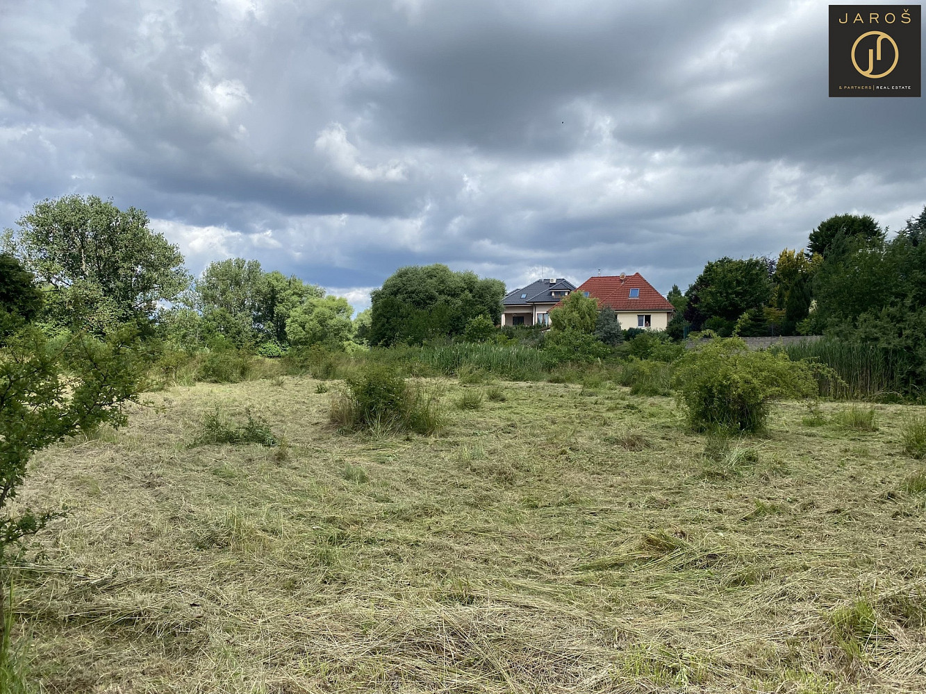 Prodej louky 2 641 m²