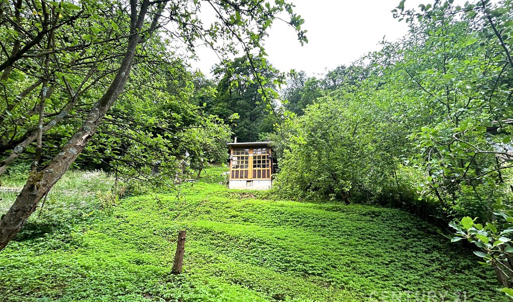 Prodej zahrady 463 m², Brno – náhled fotky 5
