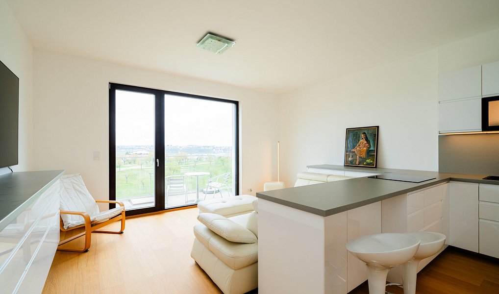 Prodej bytu 1+kk 41 m², Praha – náhled fotky 11