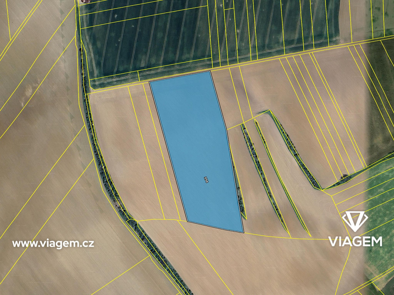 Prodej pole 24 985 m² – fotografie 4