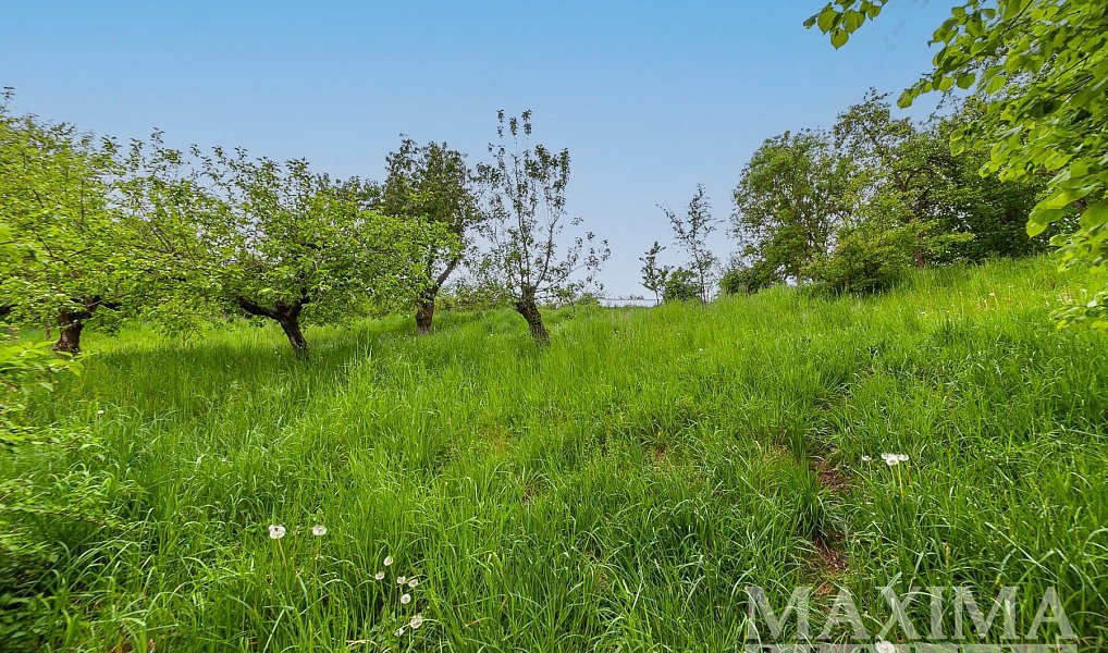 Prodej domu 196 m² s pozemkem 3 460 m², Staré Hrady – náhled fotky 22