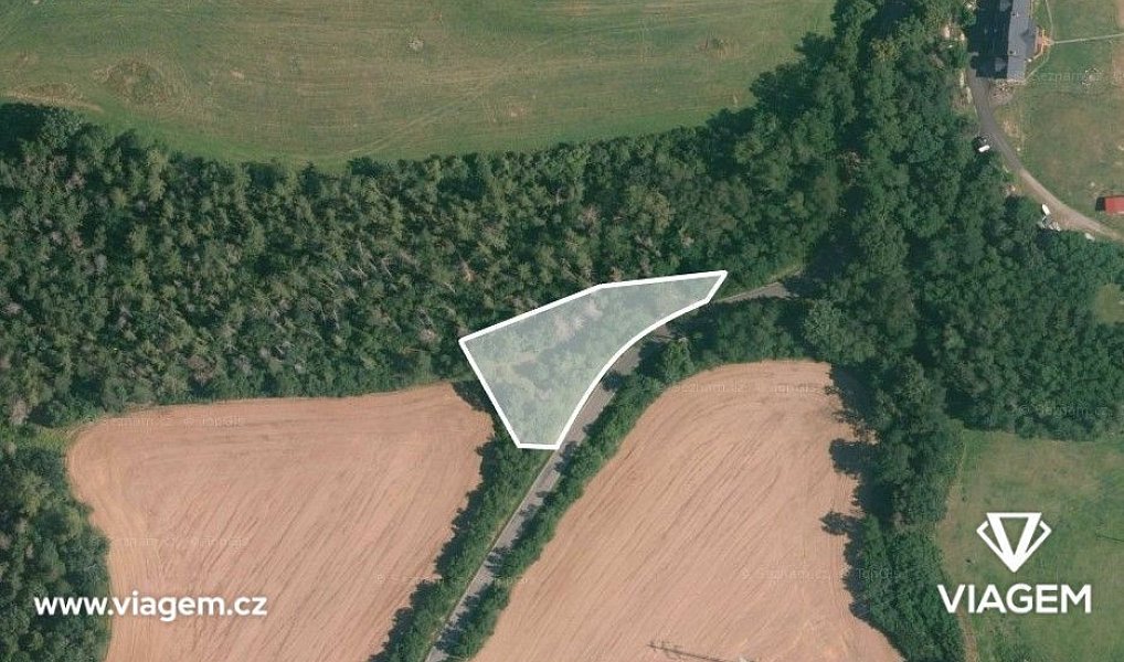 Prodej lesa 803 m², Čím – náhled fotky 2