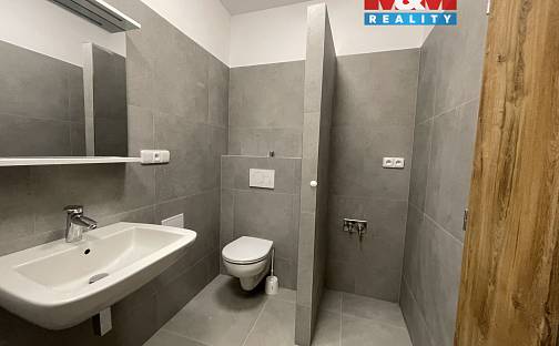 Pronájem bytu 2+kk 99 m², Lidická, Ostrava - Vítkovice