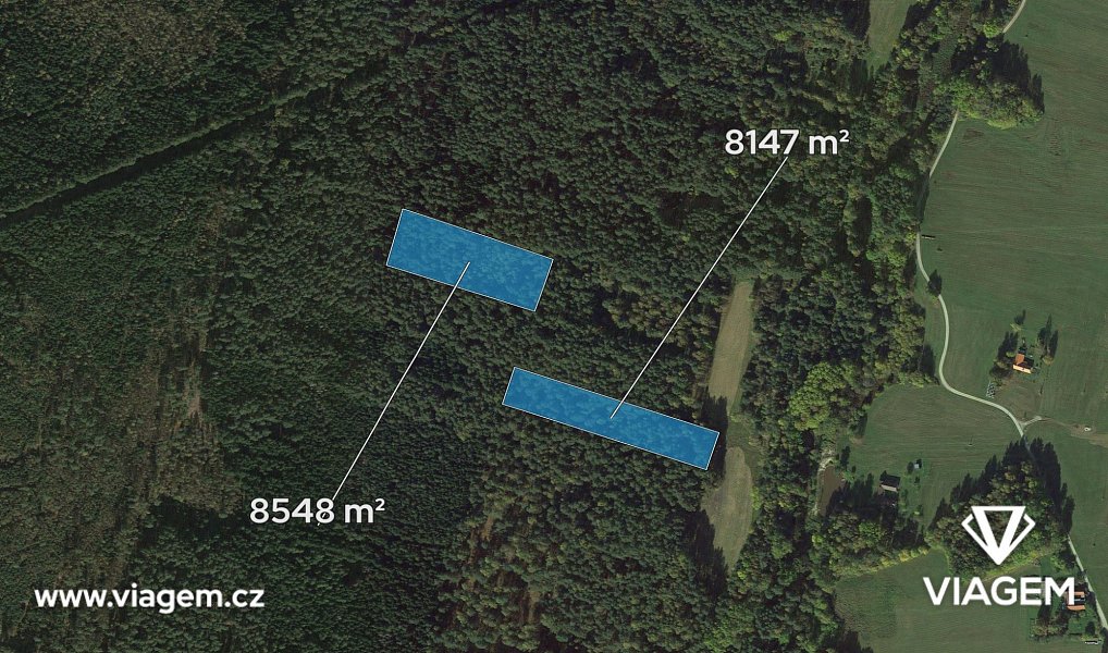 Prodej lesa 13 912 m², Suchdol nad Lužnicí – náhled fotky 2