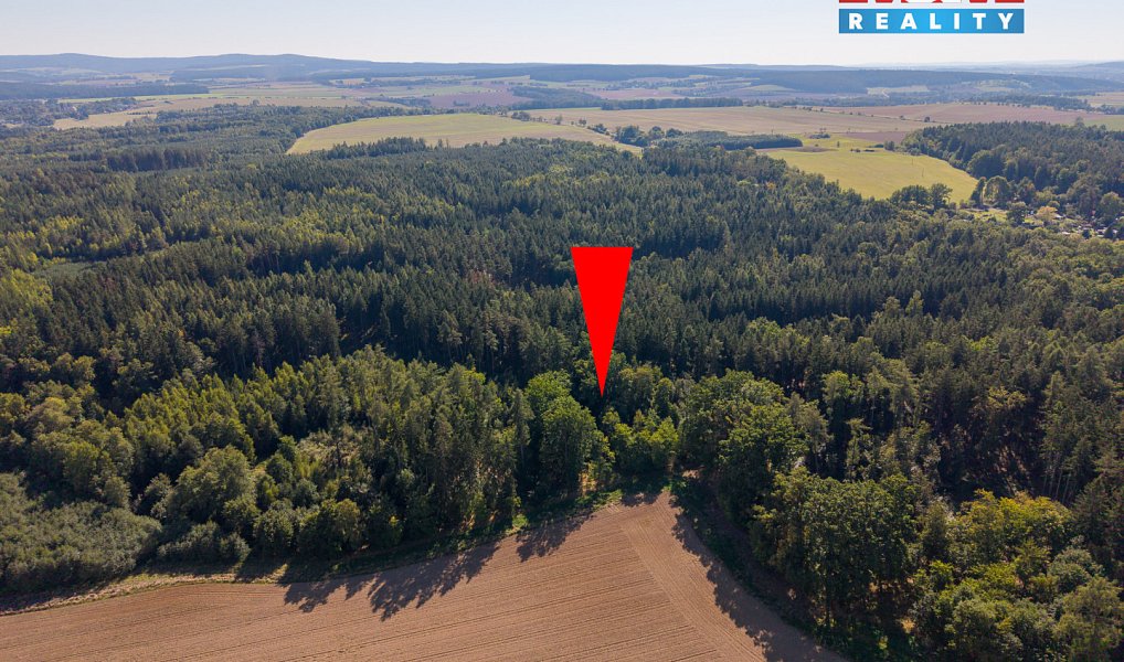 Prodej lesa 1 757 m², Cheb – náhled fotky 7