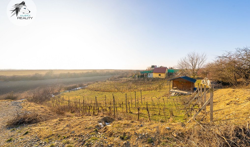 Prodej komerčního pozemku 1 444 m², Pasohlávky – náhled fotky 11