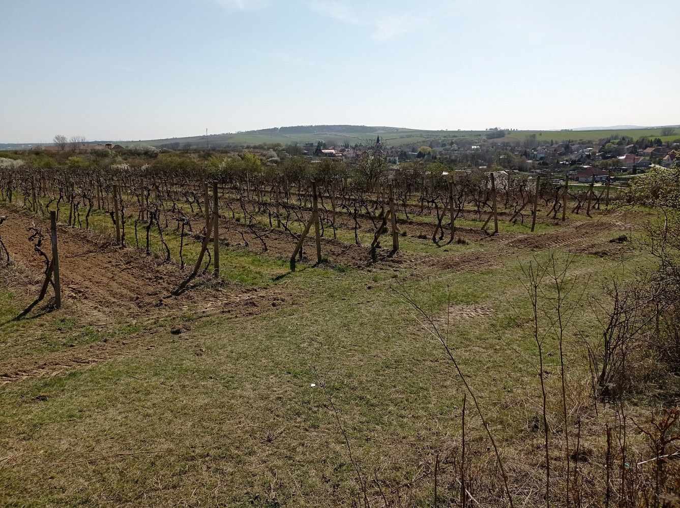 Prodej pozemku 3 162 m² – fotografie 4