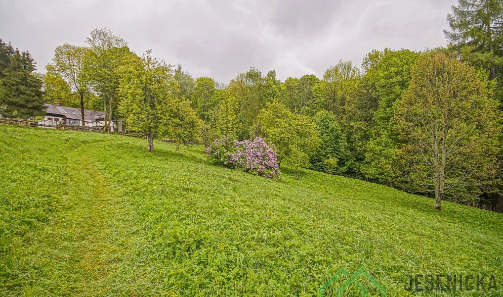 Prodej louky 2 772 m², Branná – náhled fotky 17
