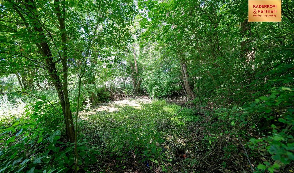 Prodej stavebního pozemku 2 911 m², Březina – náhled fotky 15