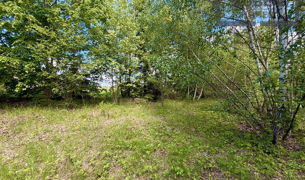 Prodej stavebního pozemku 435 m², Lestkov – náhled fotky 4