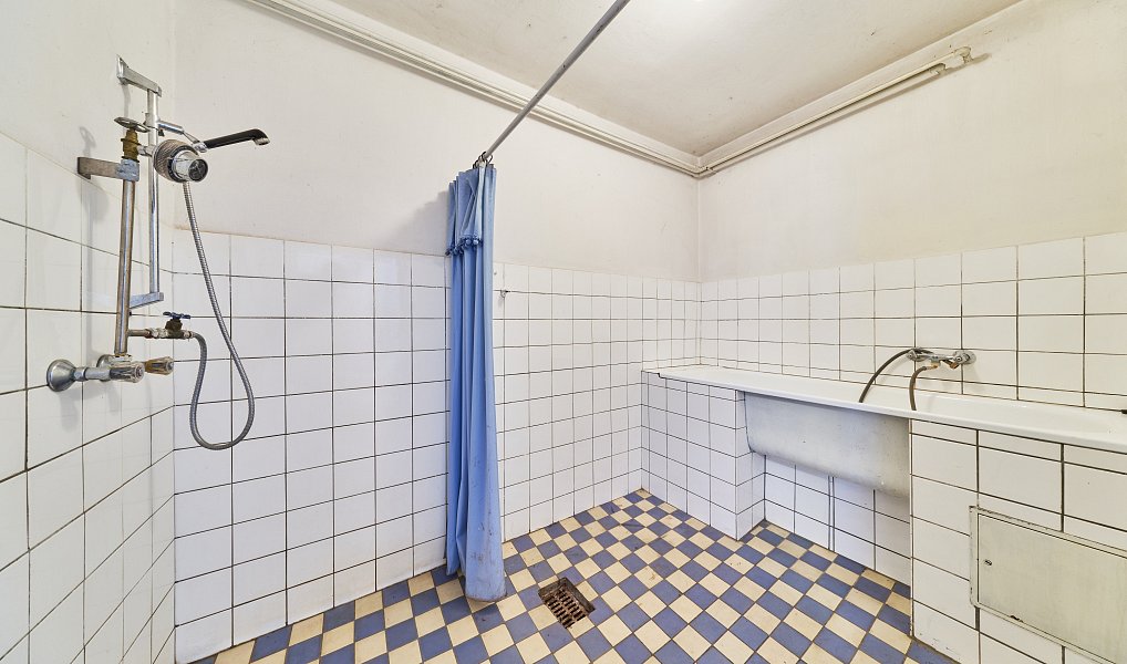 Prodej domu 240 m² s pozemkem 2 173 m², Velké Svatoňovice – náhled fotky 33