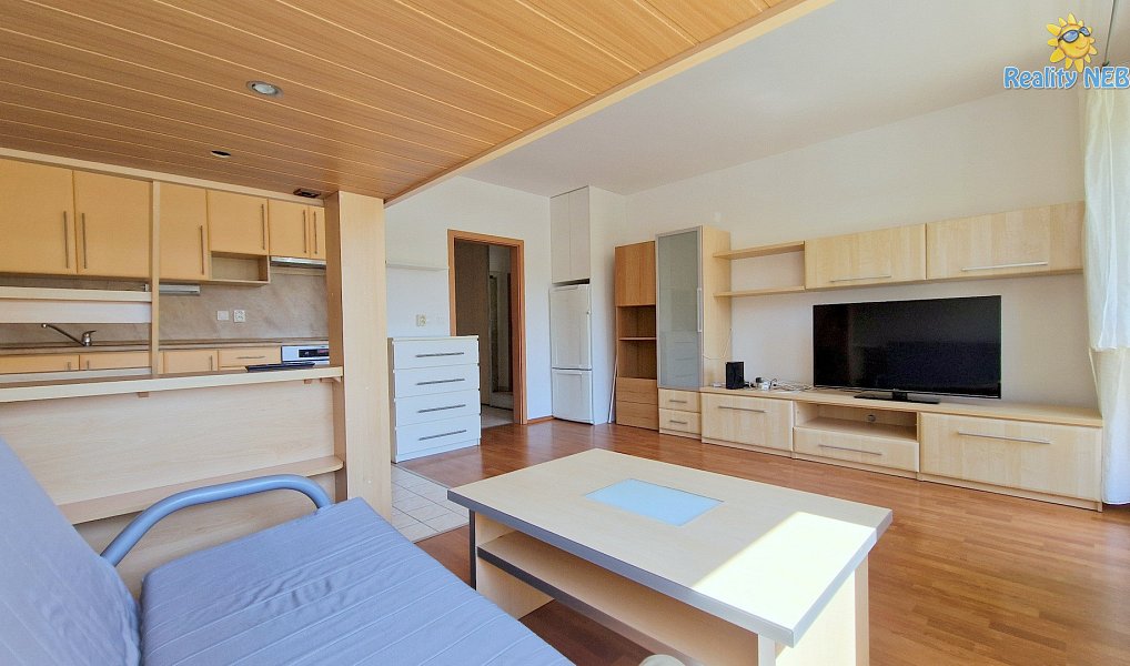 Pronájem bytu 1+kk 41 m², Praha – náhled fotky 4
