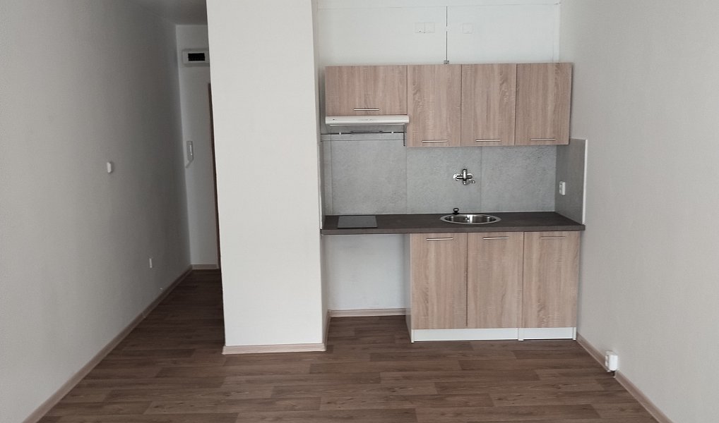 Pronájem bytu 1+kk, 30 m², Moravská Ostrava - Ostrava-město, Ostrava