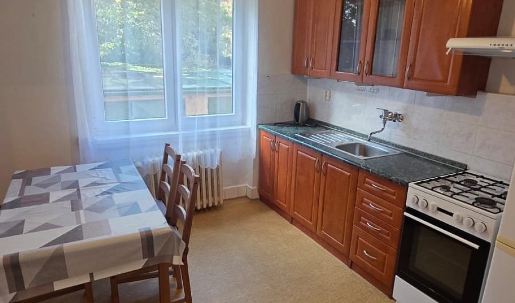 Pronájem bytu 1+1 43 m², Praha – náhled fotky 5