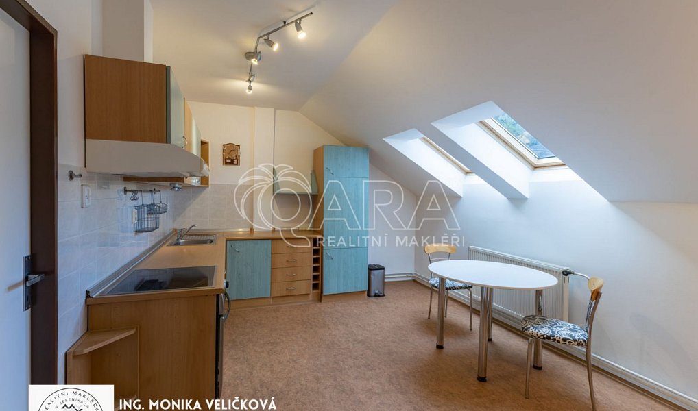 Prodej bytu 4+1 135 m², Vrbno pod Pradědem – náhled fotky 6
