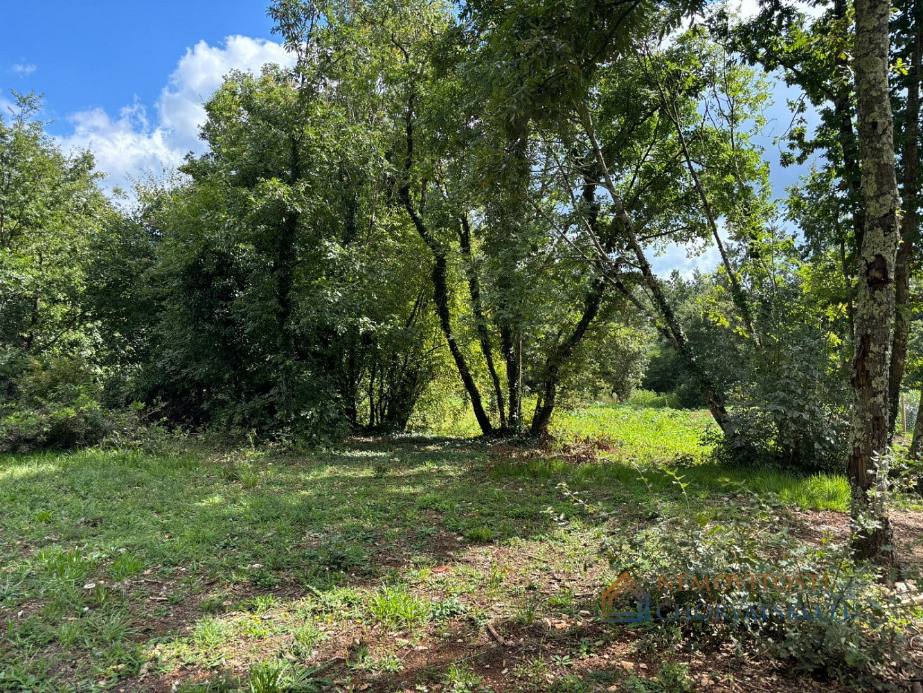 Prodej stavebního pozemku 1 384 m² - Widok 3