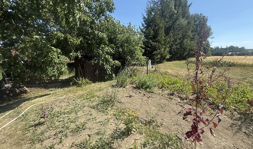 Prodej domu 200 m² s pozemkem 721 m², Mladý Smolivec – náhled fotky 24