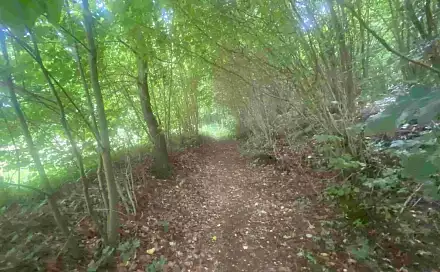 Dražba stavebního pozemku 1 004 m², Mladkov