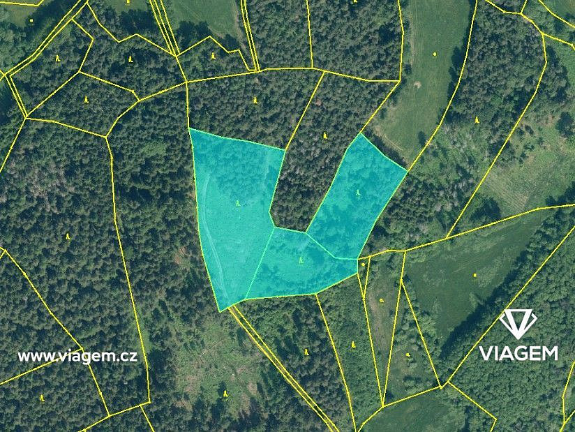 Prodej lesa 2 075 m² – fotografie 4