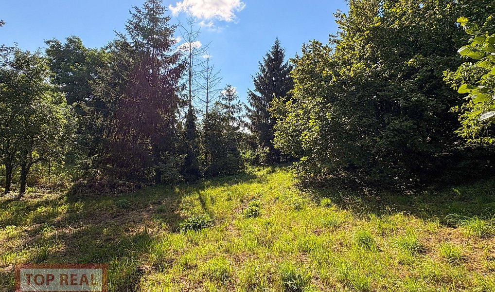 Prodej stavebního pozemku 1 062 m², Zdounky – náhled fotky 6