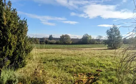 Prodej stavebního pozemku 1 454 m², Morašice - Holičky, okres Chrudim
