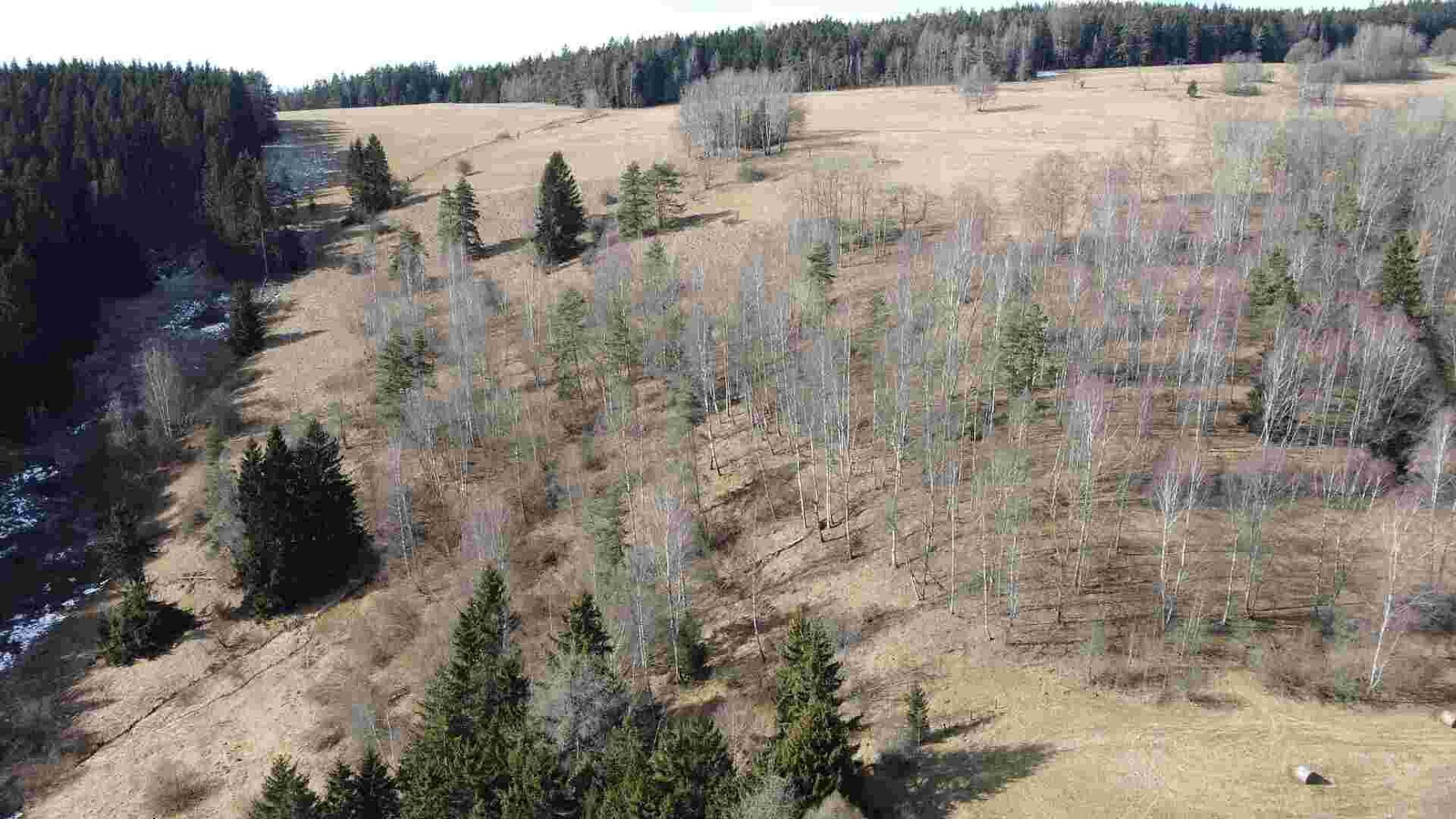 Prodej pole 3 869 m² – fotografie 3