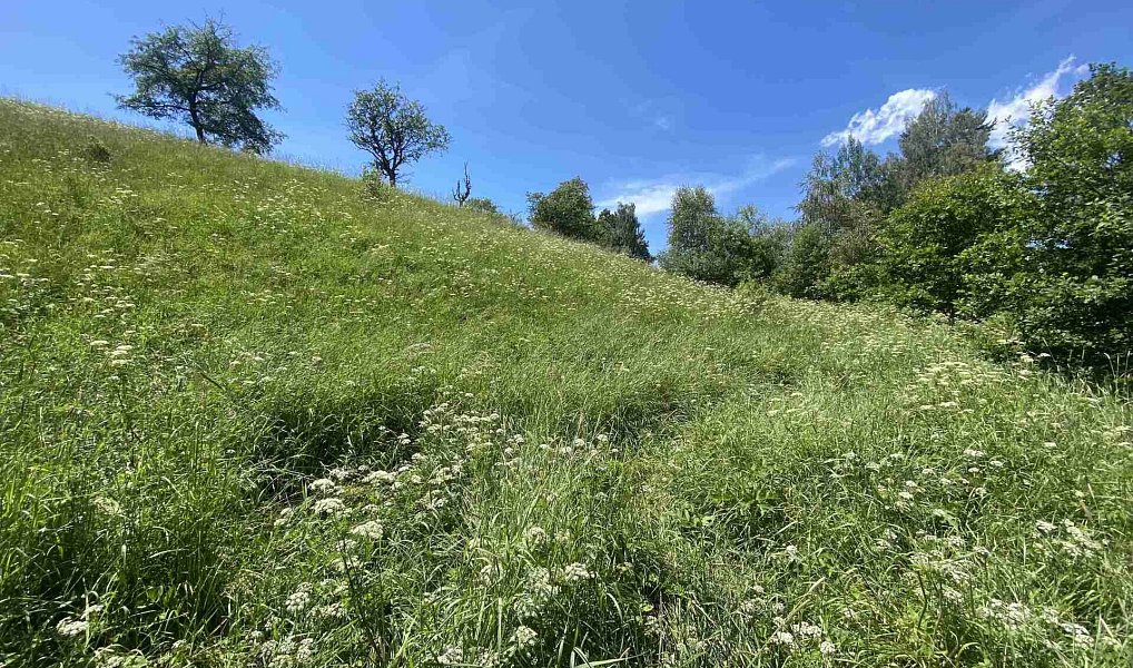Prodej pole 5 634 m², Hartmanice – náhled fotky 3