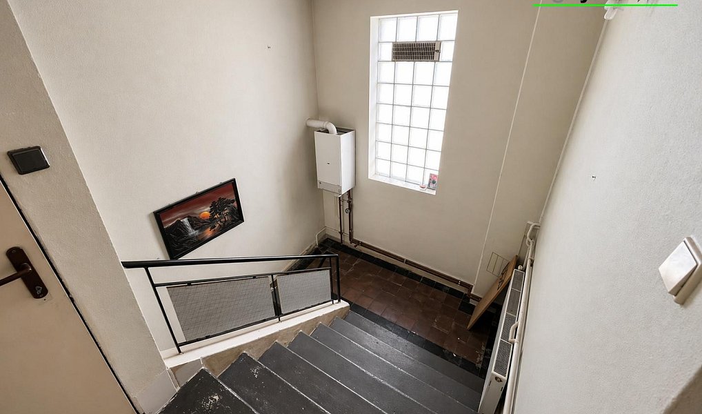 Prodej domu 318 m² s pozemkem 3 194 m², Rybník – náhled fotky 26