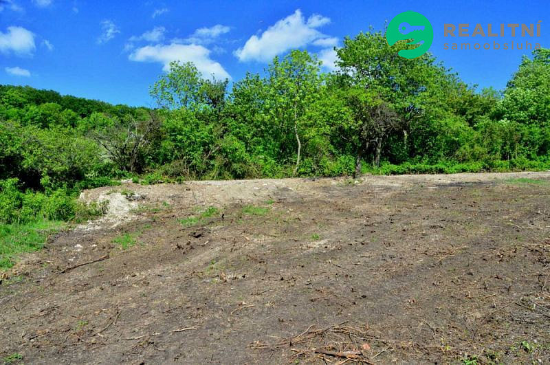 Prodej zahrady 1 600 m² – fotografie 5