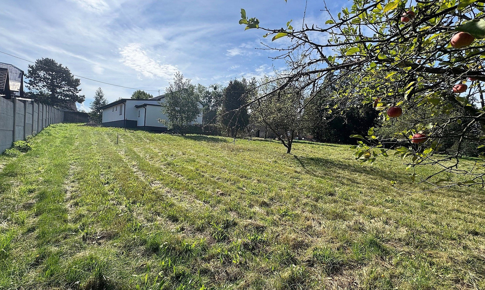 Prodej stavebního pozemku 1 004 m² – fotografie 2