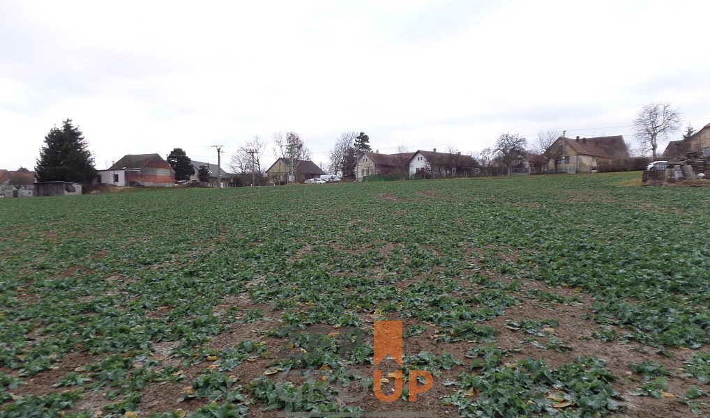 Prodej stavebního pozemku 13 343 m², Heřmanův Městec – náhled fotky 10