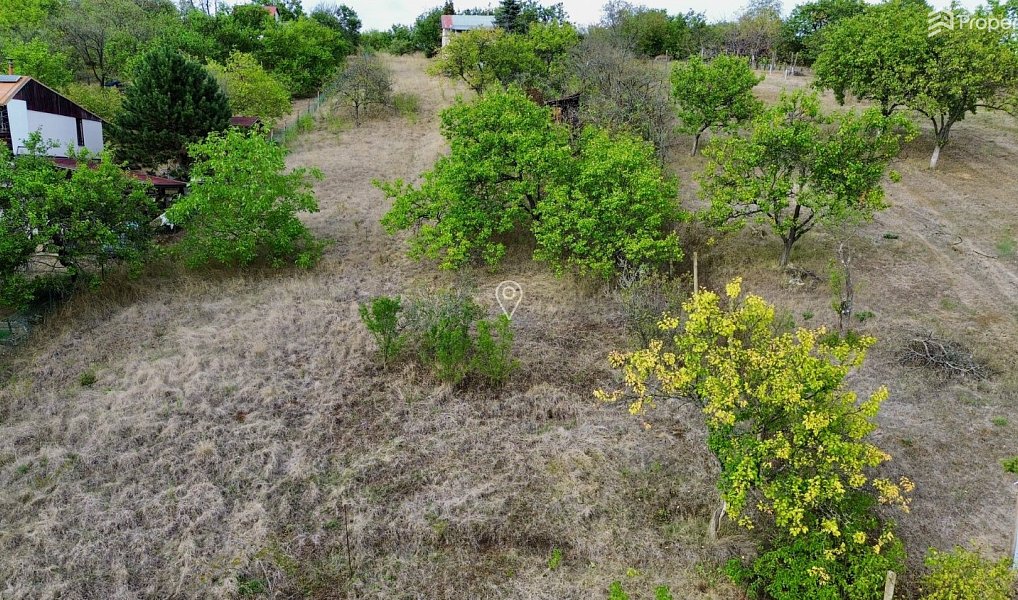 Prodej zahrady 985 m², Dolní Kounice – náhled fotky 10