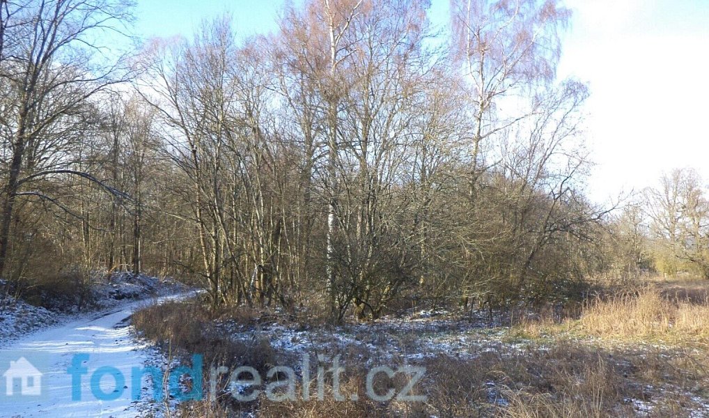 Prodej pozemku 3 575 m², Staré Město pod Landštejnem – náhled fotky 4