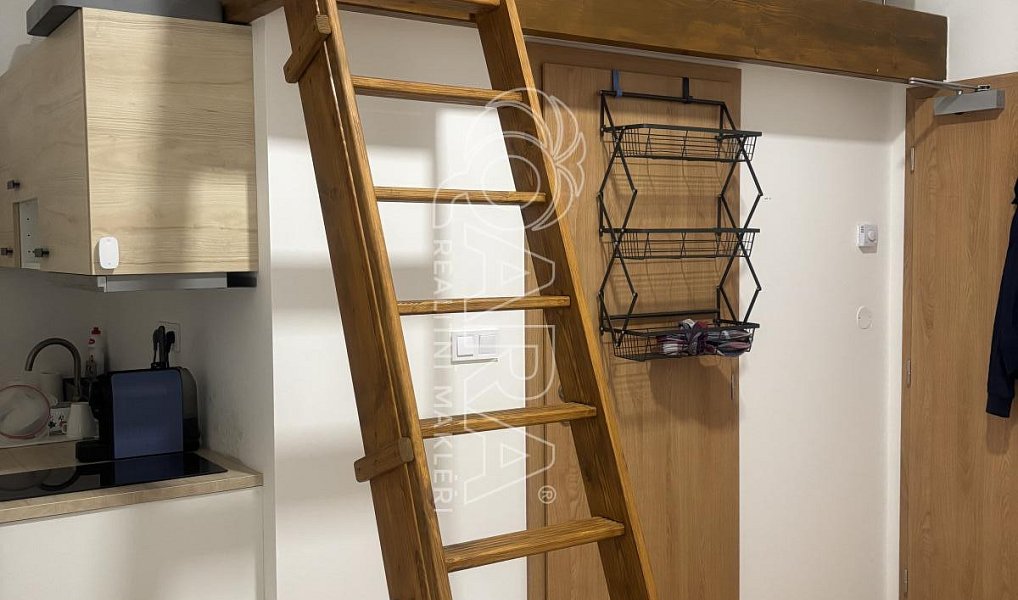 Prodej bytu 1+kk 24 m², Praha – náhled fotky 4