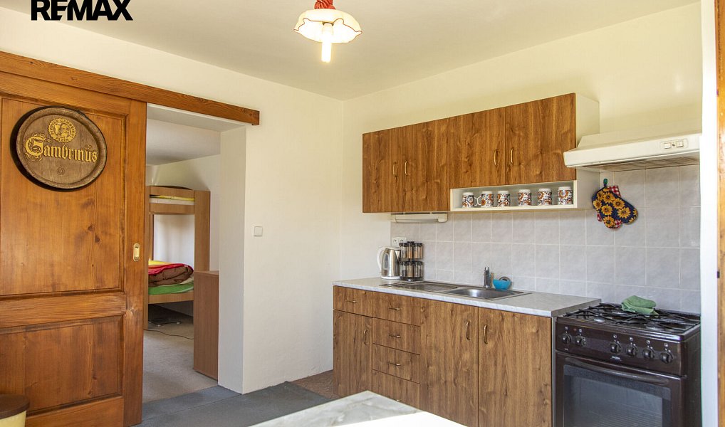 Prodej domu 302 m² s pozemkem 1 176 m², Ratiboř – náhled fotky 34