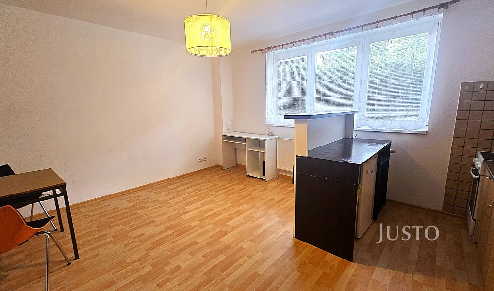 Pronájem bytu 1+kk 28 m², Písek – náhled fotky 2